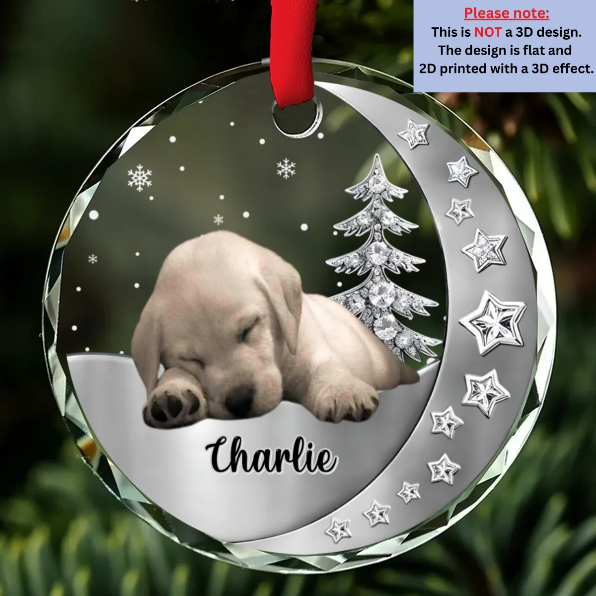 Beside You Photo - Personalized Custom 3D Effect Glass Ornament - Image 3