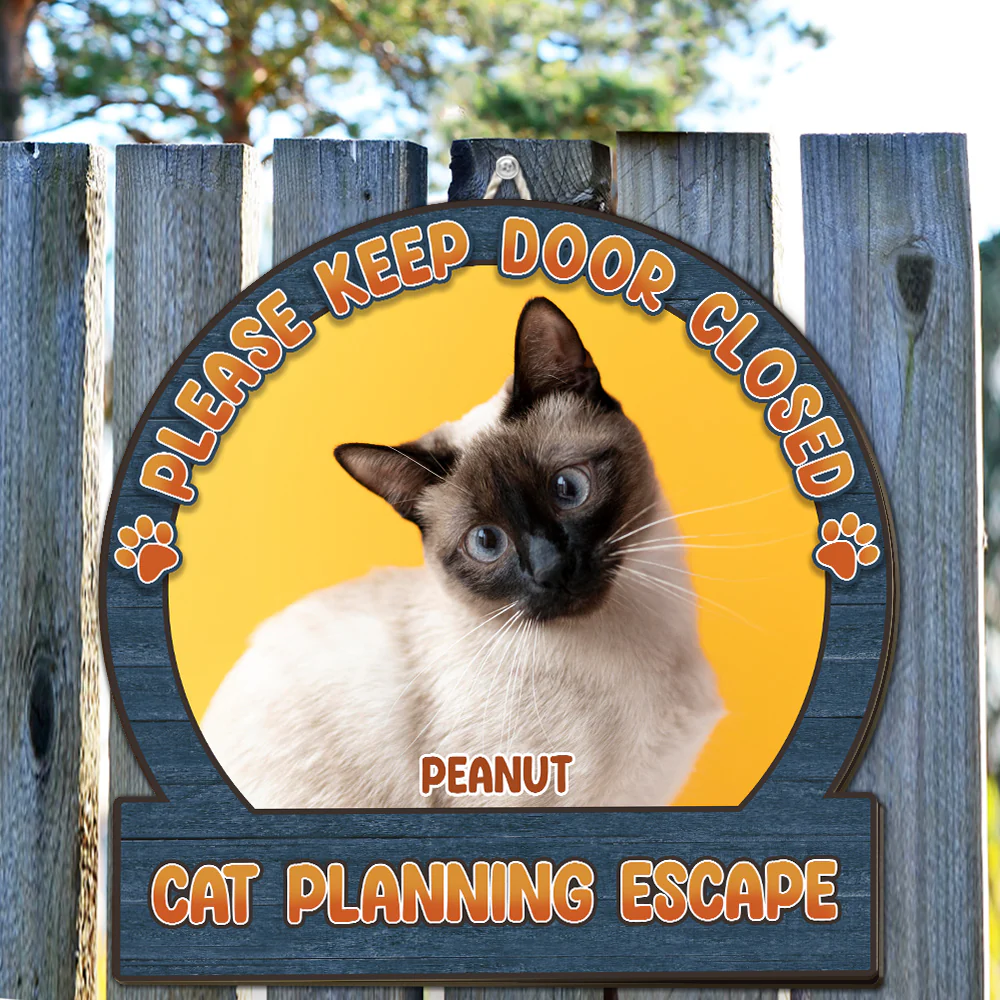 Chunky Cat Escape Photo - Personalized Custom Wood Sign - Image 2