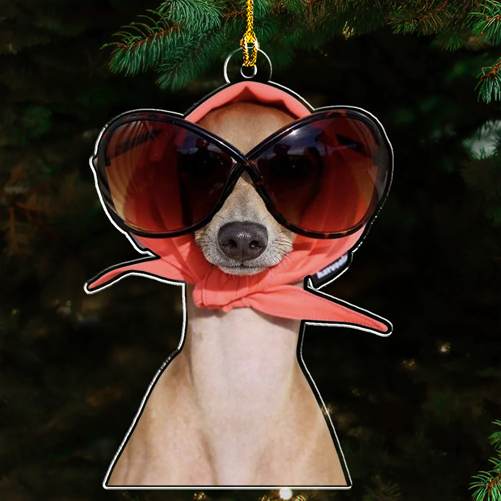 Custom Photo Funny Pet - Personalized Custom Acrylic Ornament - Image 3