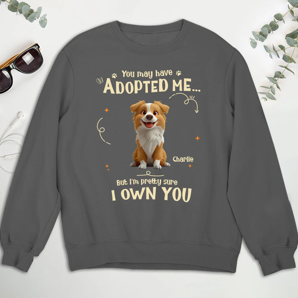 Funny Pretty Sure We Own You - Personalized Custom Sweatshirt - Image 3