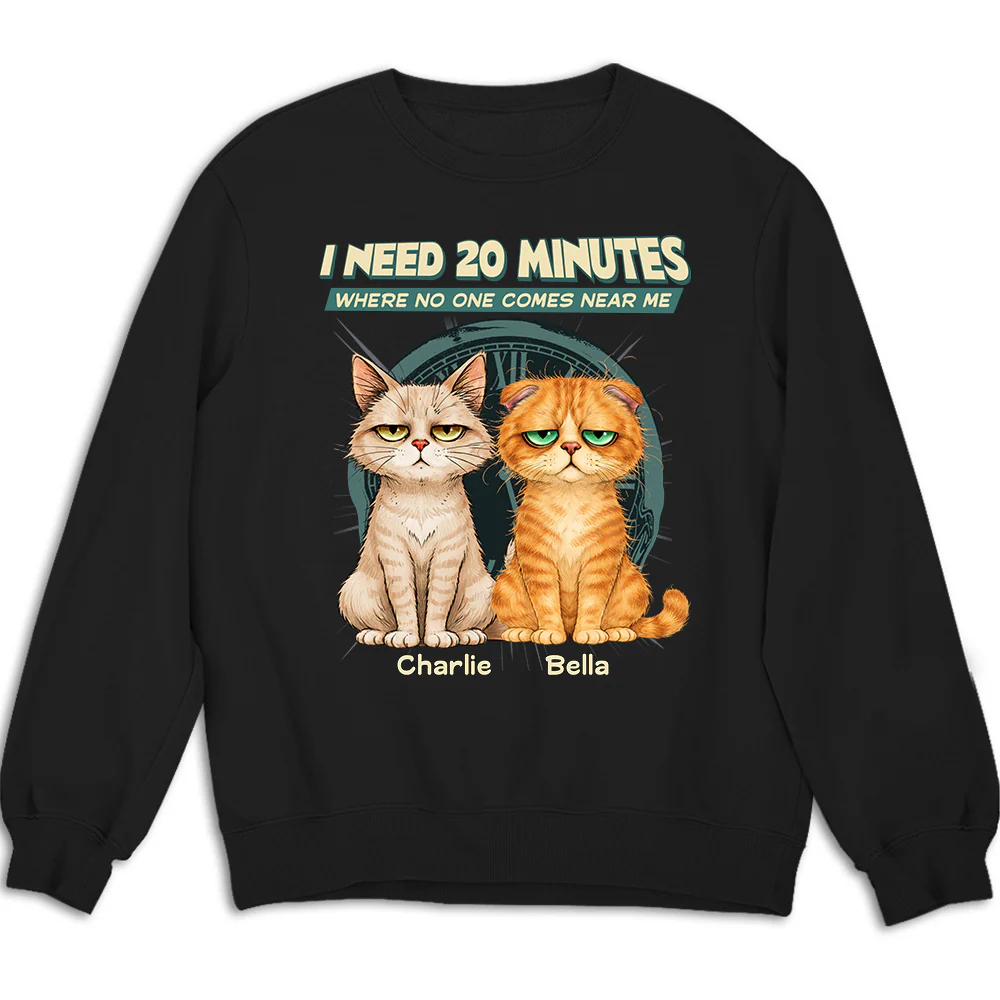 Give Me 20 Minutes Alone - Personalized Custom Sweatshirt