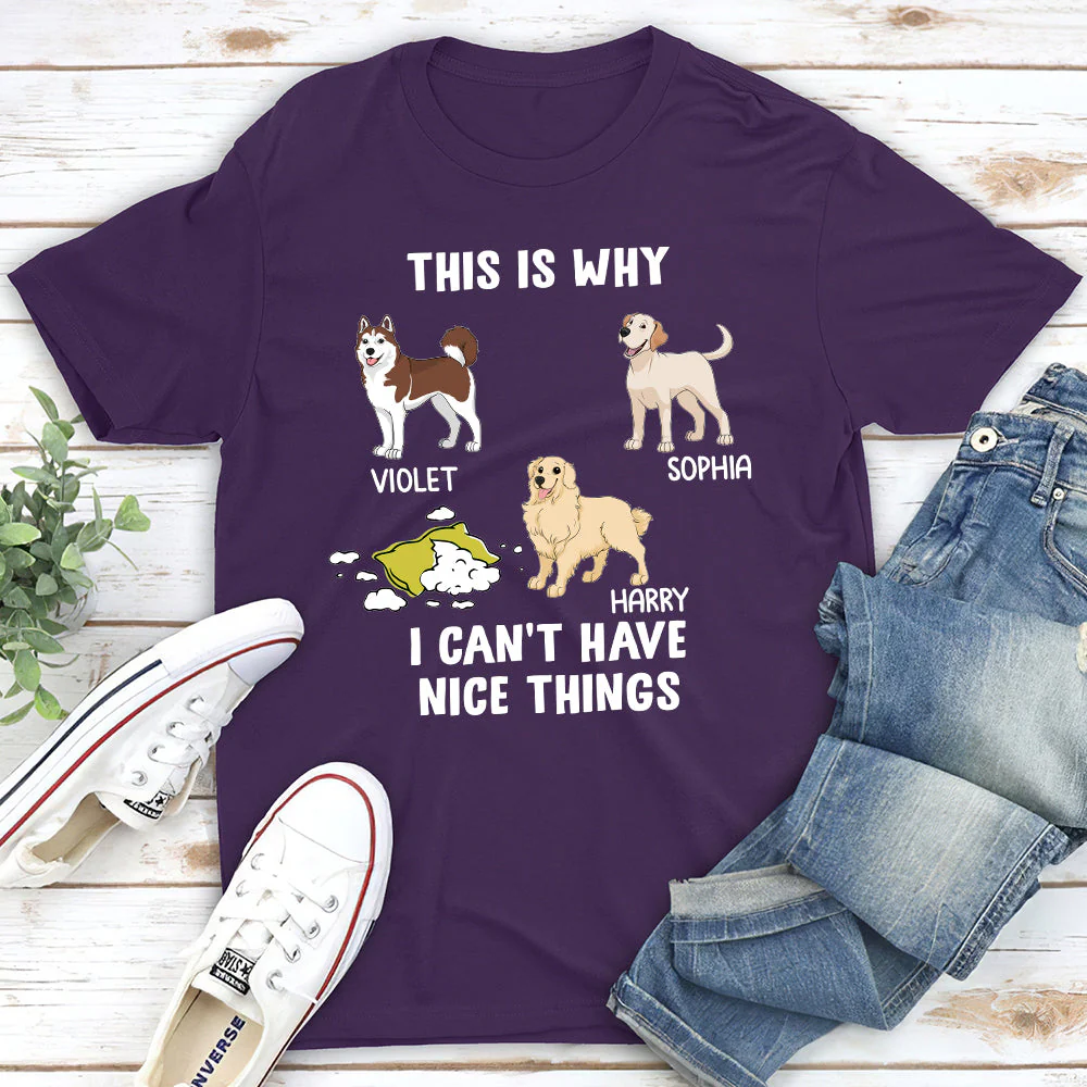 Have Nice Things - Personalized Custom Unisex T-shirt - Image 4