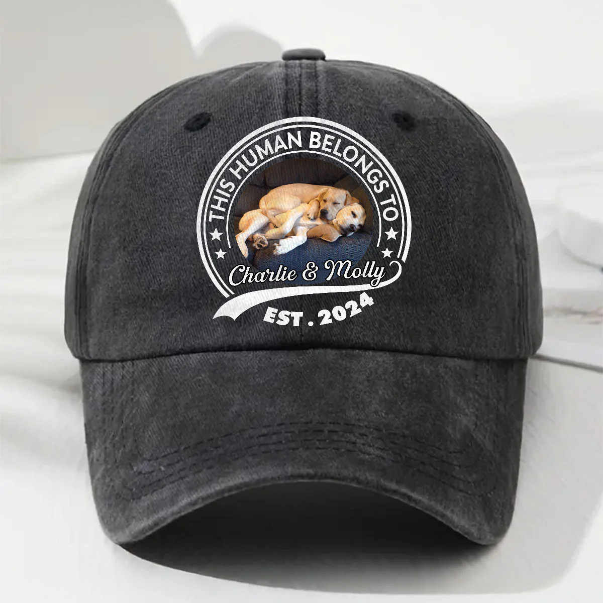 Human Belongs To Dog Cartoon Ver Pet Photo - Personalized Custom Vintage Washed Denim Cap
