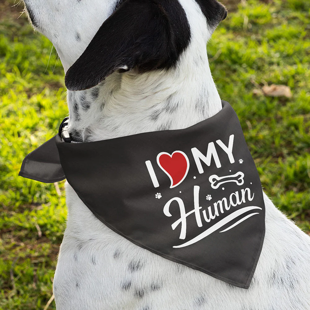 I Love My Human - Dog Bandana - Image 3