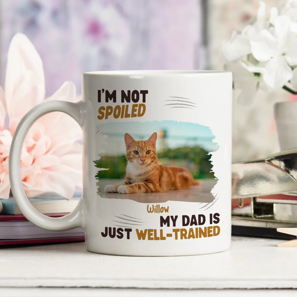 Just Because We Trained You Well Photo - Personalized Custom Coffee Mug