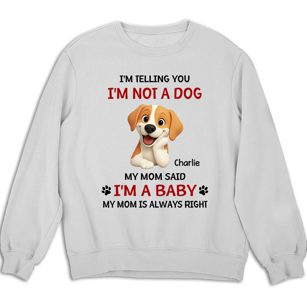 Litterally A Baby - Personalized Custom Sweatshirt