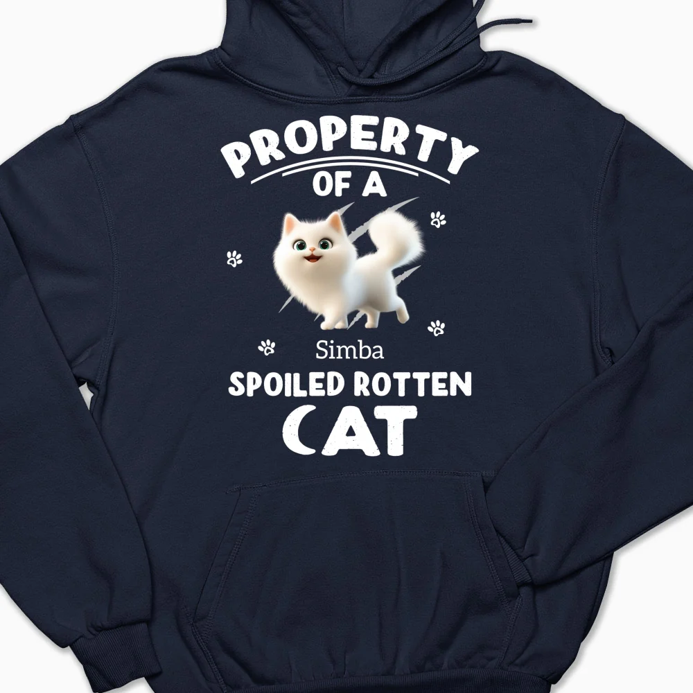 Our Official Property - Personalized Custom Hoodie - Image 6