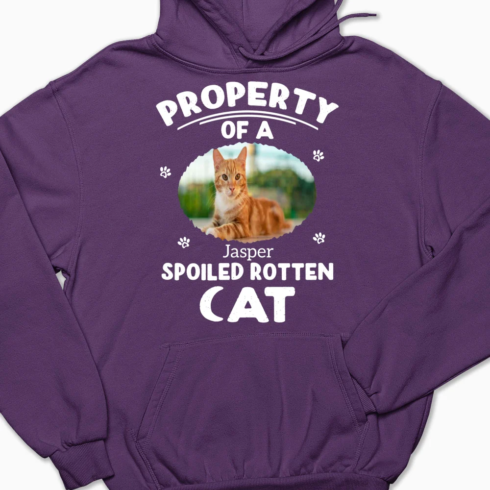 Our Official Property Photo - Personalized Custom Hoodie - Image 9