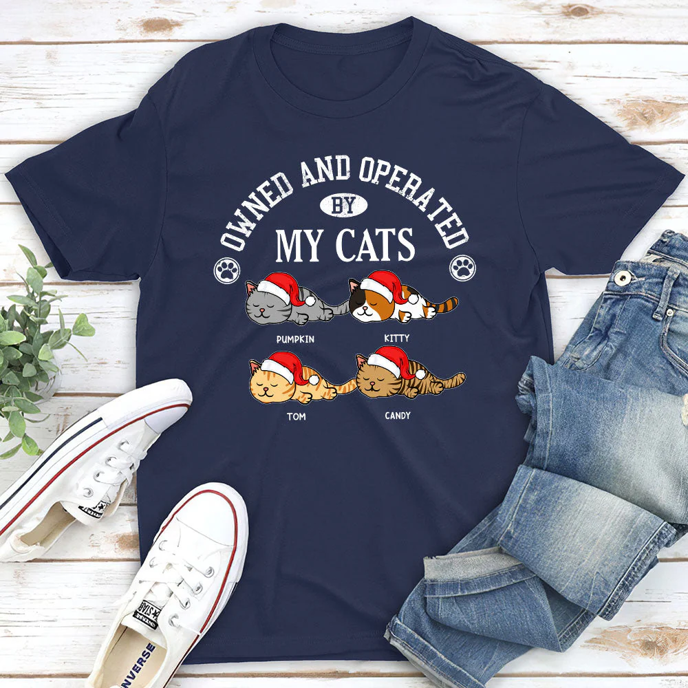 Owned By My Sassy Cat - Personalized Custom Unisex T-shirt - Image 2