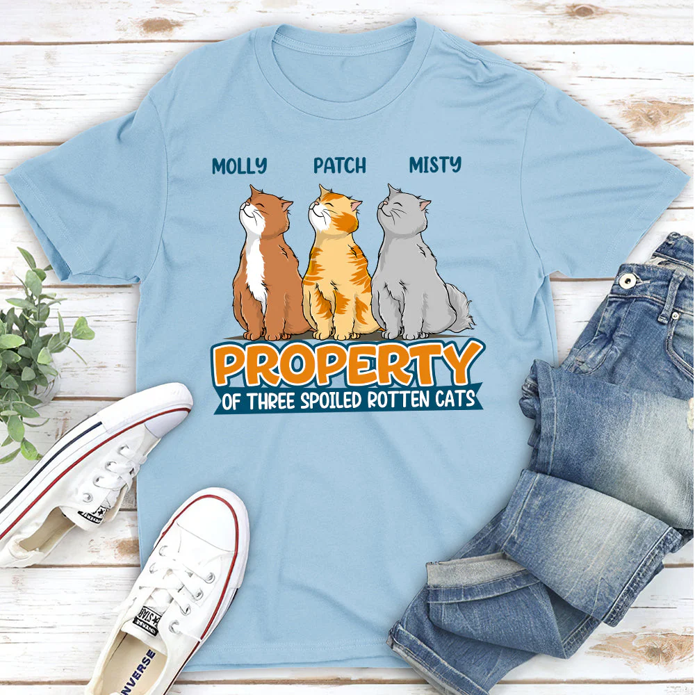 Spoiled Rotten Cats - Personalized Custom Unisex T-shirt - Image 4