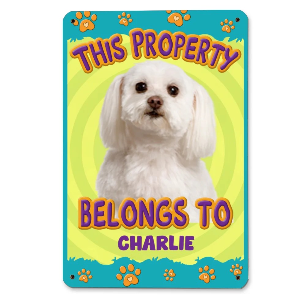 This Human Belongs To Us Cartoon Photo - Personalized Custom Metal Sign