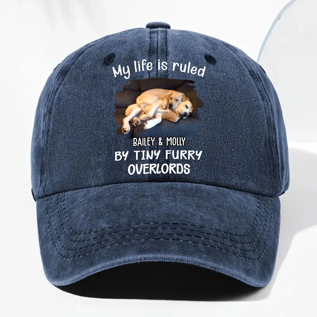 Tiny Fur Overlords Cartoon Photo - Personalized Custom Vintage Washed Denim Cap