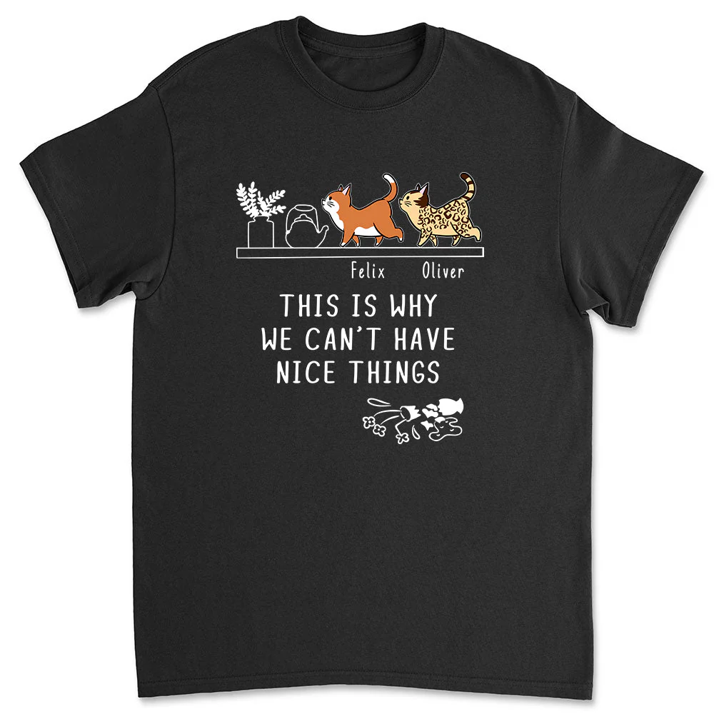 Why We Can't Have Nice Things - Personalized Custom Unisex T-shirt